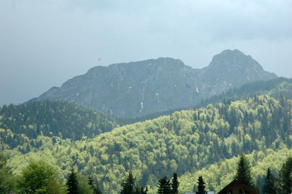 Viva Maria * Zakopane